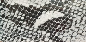 F10 had černo-bílý