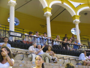 IMG_5936 Sombra